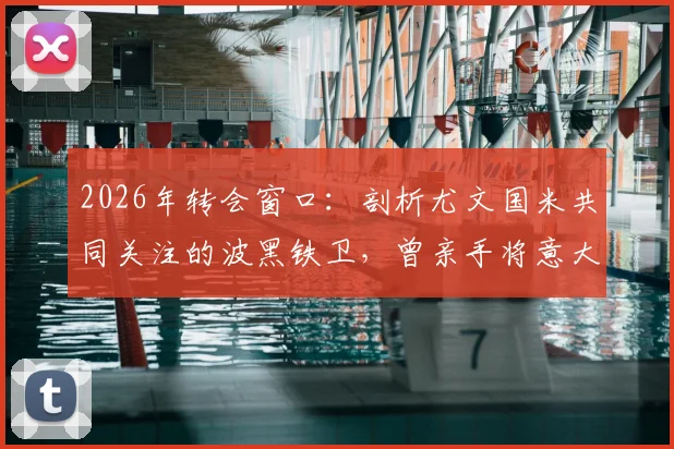 2026年转会窗口：剖析尤文国米共同关注的波黑铁卫，曾亲手将意大利踢出欧洲杯