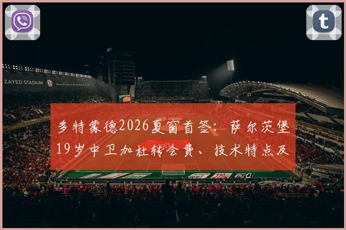 多特蒙德2026夏窗首签:萨尔茨堡19岁中卫加杜转会费、技术特点及与胡梅尔斯对比全解析
