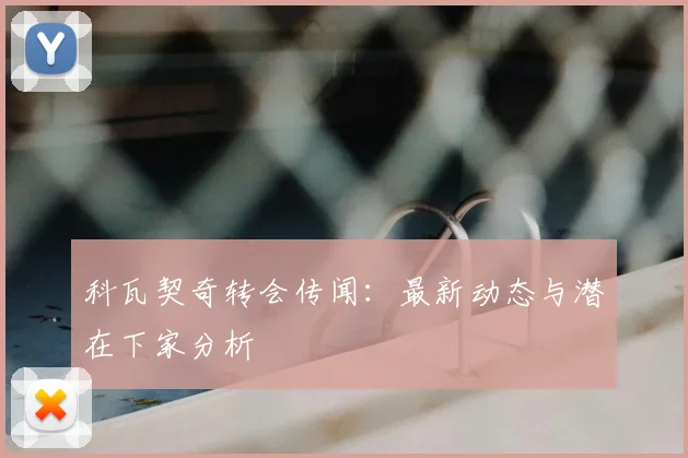 科瓦契奇转会传闻：最新动态与潜在下家分析